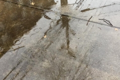 20190124_001