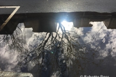 20190208_002