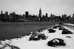 20150127_019