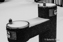 20150127_029