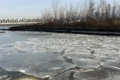 20190202_004