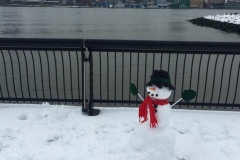 20190302_010