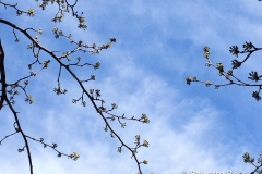 20140412_01
