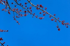 20190327_001
