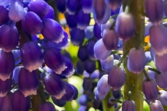 20190328_002