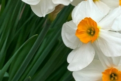 20190409_001