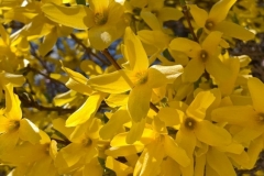 20190410_002