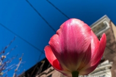 20190417_002
