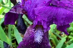 20190426_001