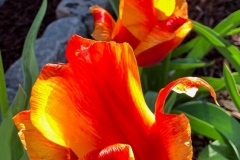 20190427_001