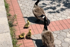 20190502_002