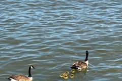 20190508_005
