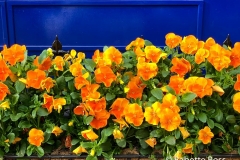 20190511_001