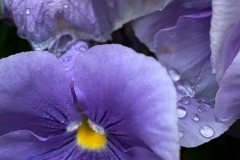 20190523_002
