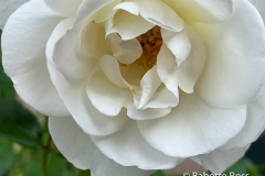 20190601_001