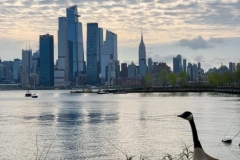 20200503_001