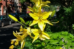 20190701_001