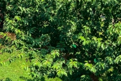 20190705_002