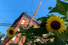 20190727_001