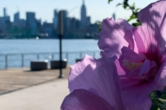 20190811_001