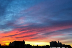 20190117_001