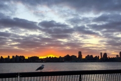 20190125_001
