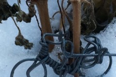 20160118_001
