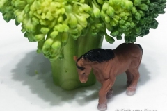 20190207_002