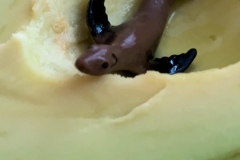 20190620_001