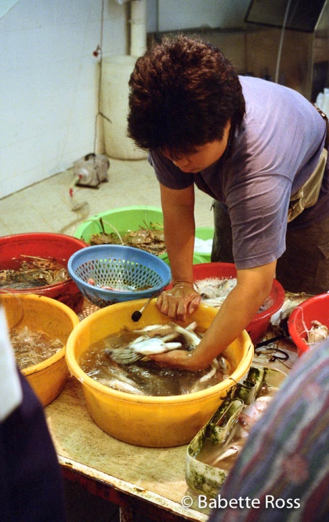 Wet Market, Peng Chau 1999-09-25