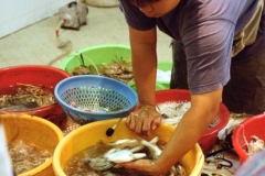 Wet Market, Peng Chau 1999-09-25