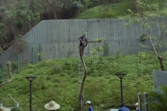 Hong Kong Park 1999-10-04