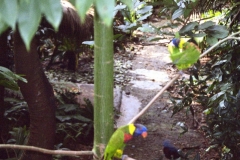 Hong Kong Park 1999-10-04