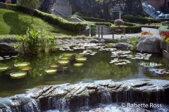 Hong Kong Park 1999-10-04