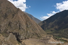 lactapata