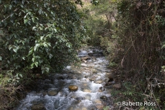 Inca Trail