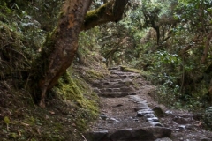 Inca Trail
