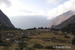 Lluchapampa