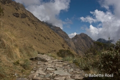 Inca Trail