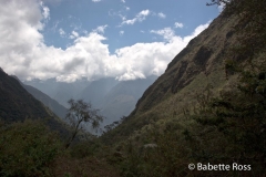 Inca Trail