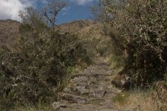 Inca Trail
