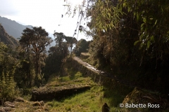 Inca Trail