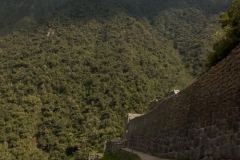 Winaywayna
