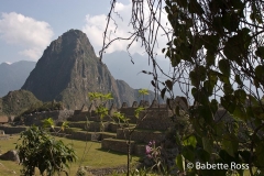 Machu Picchu