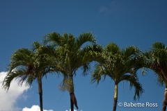 Lihue