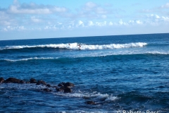 Surfer