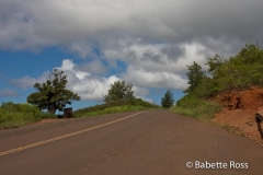Waimea Canyon
