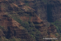 Waimea Canyon