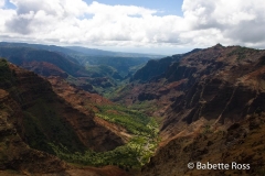 Puu Hinahina Lookout