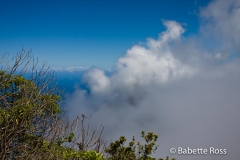 Kalalau Lookout